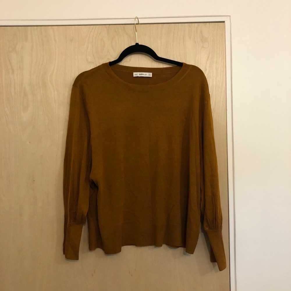 Zara Brown Sweatshirt